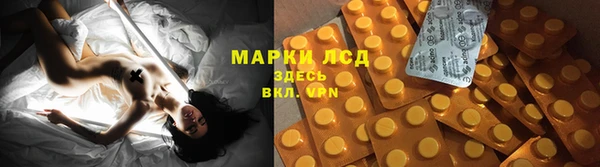 СК Алексин