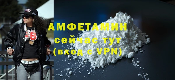 СК Алексин