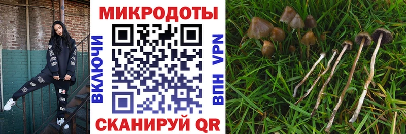 купить наркоту  Луза  hydra ССЫЛКА  Псилоцибиновые грибы мицелий 