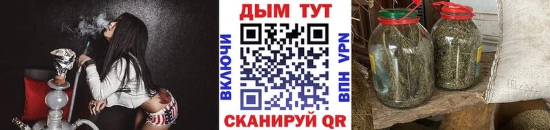 OMG как зайти  Луза  Бошки марихуана Amnesia 